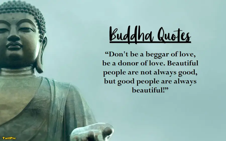 Buddha Quotes Will Change Your Mind
