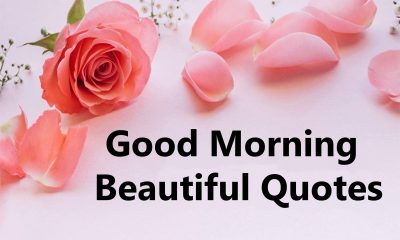 Good Morning Beautiful Quotes And Positive Vibes Messages