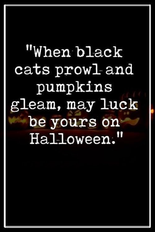 edgar allan poe halloween costumes and halloween humor quotes