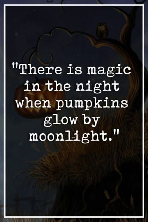 funny halloween words and halloween messages