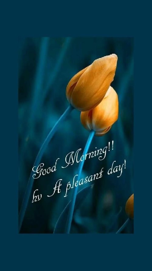 good morning motivation and good morning inspirational greetings