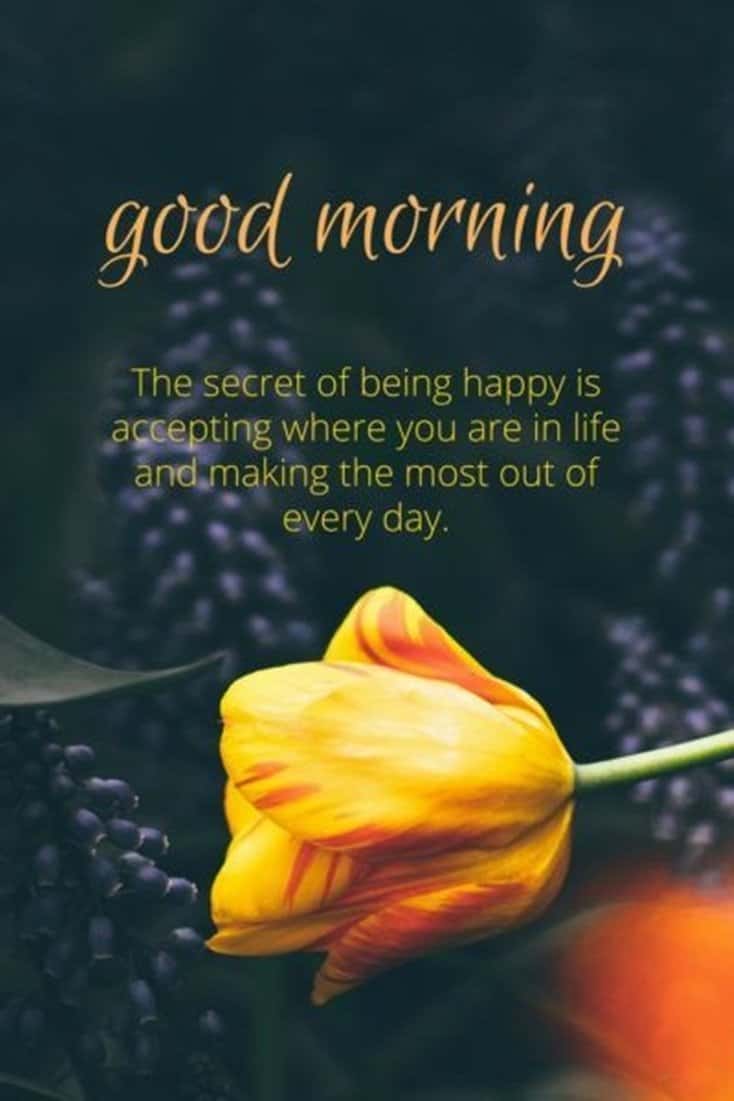 10 Good Morning Quotes With Images 6