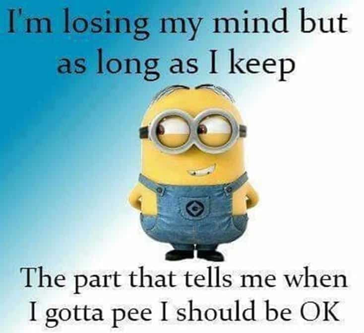 150 Funny Minions Quotes Sayings and Pics 14