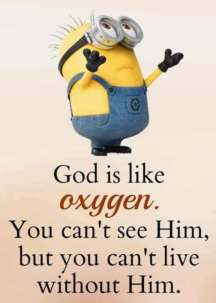 150 Funny Minions Quotes Sayings and Pics 15
