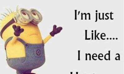 150 Funny Minions Quotes Sayings and Pics 16