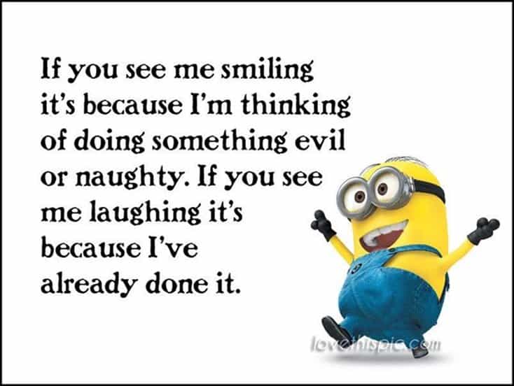 150 Funny Minions Quotes Sayings and Pics 34
