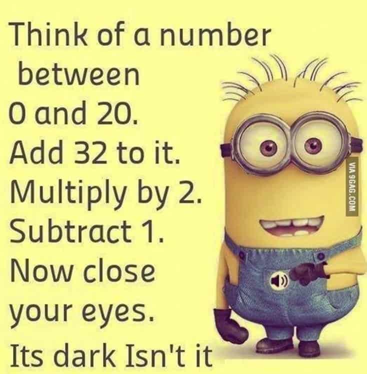 150 Funny Minions Quotes Sayings and Pics 36