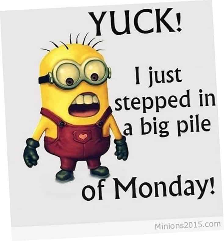 150 Funny Minions Quotes Sayings and Pics 37