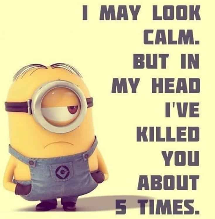 150 Funny Minions Quotes Sayings and Pics 38