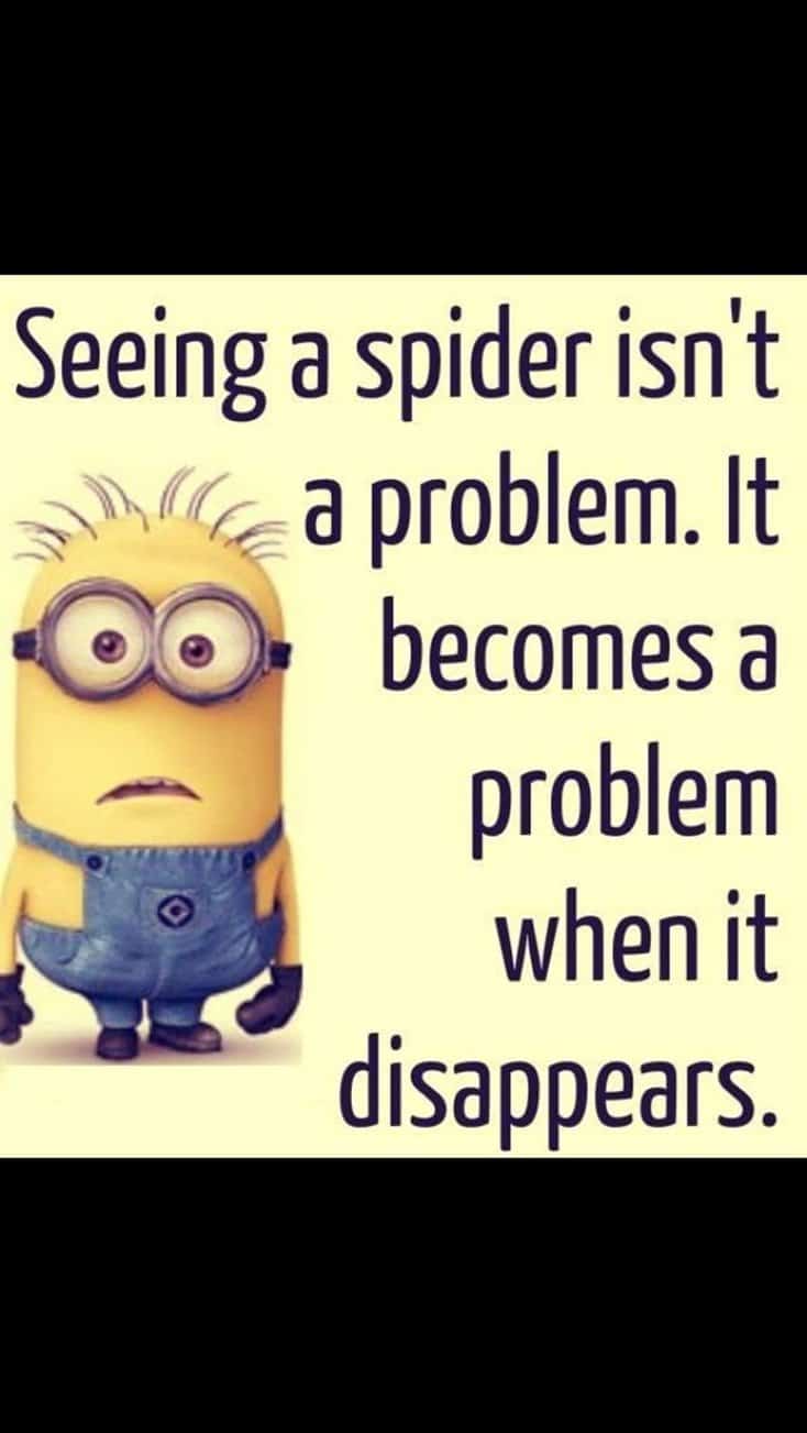 150 Funny Minions Quotes Sayings and Pics 41