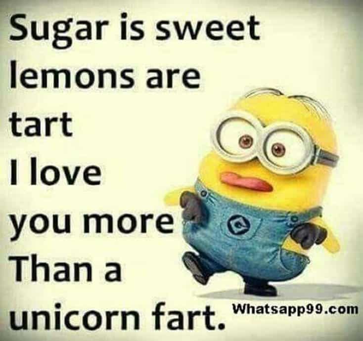 150 Funny Minions Quotes Sayings and Pics 45
