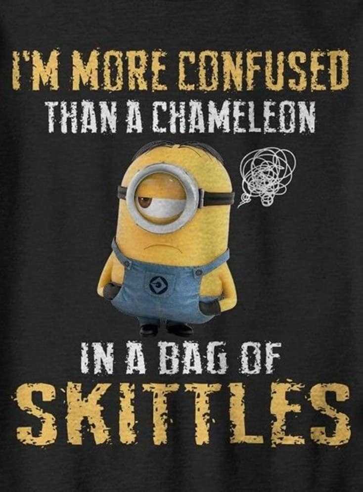 150 Funny Minions Quotes Sayings and Pics 46