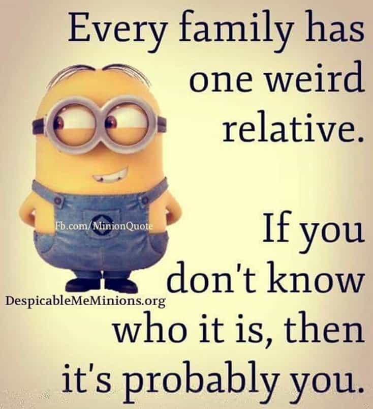 150 Funny Minions Quotes Sayings and Pics 8