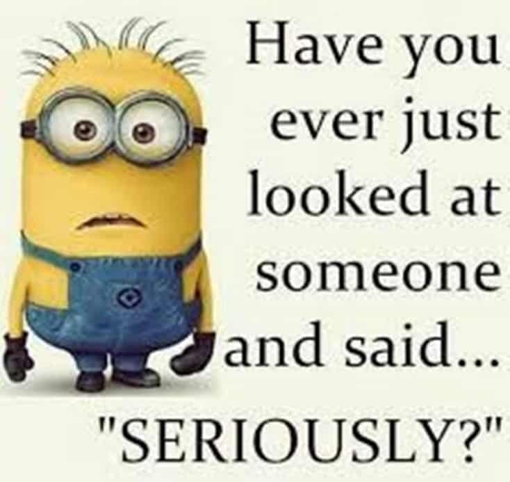 150 Funny Minions Quotes Sayings and Pics 9