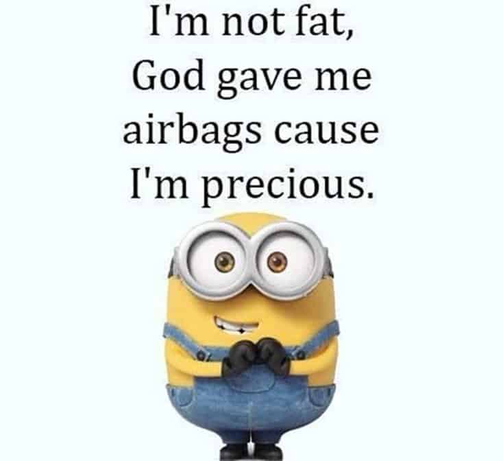 150 Funny Minions Quotes and Pics 12