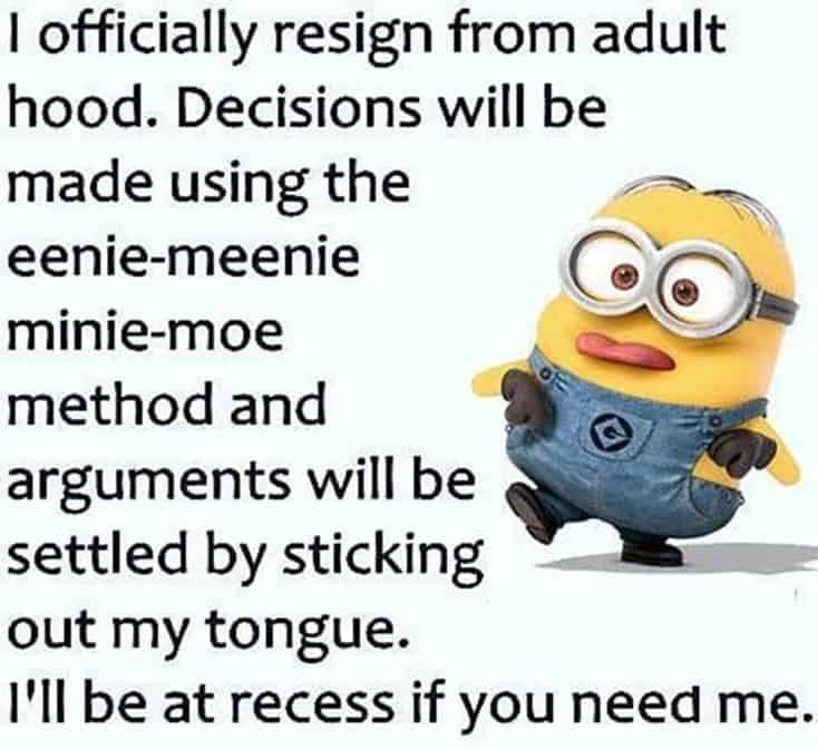 150 Funny Minions Quotes and Pics 14