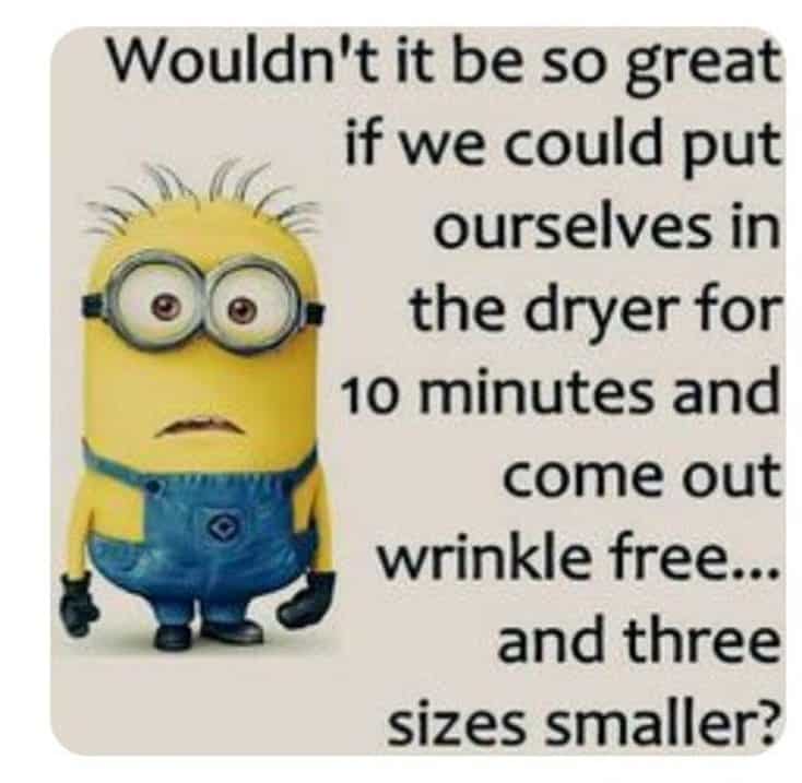 150 Funny Minions Quotes and Pics 15