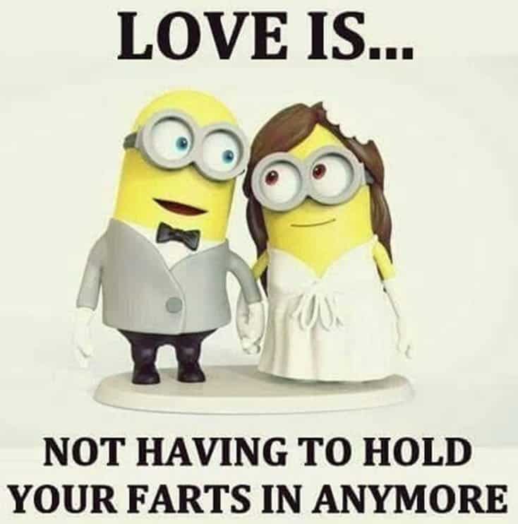 150 Funny Minions Quotes and Pics 19