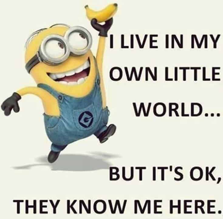 150 Funny Minions Quotes and Pics 2