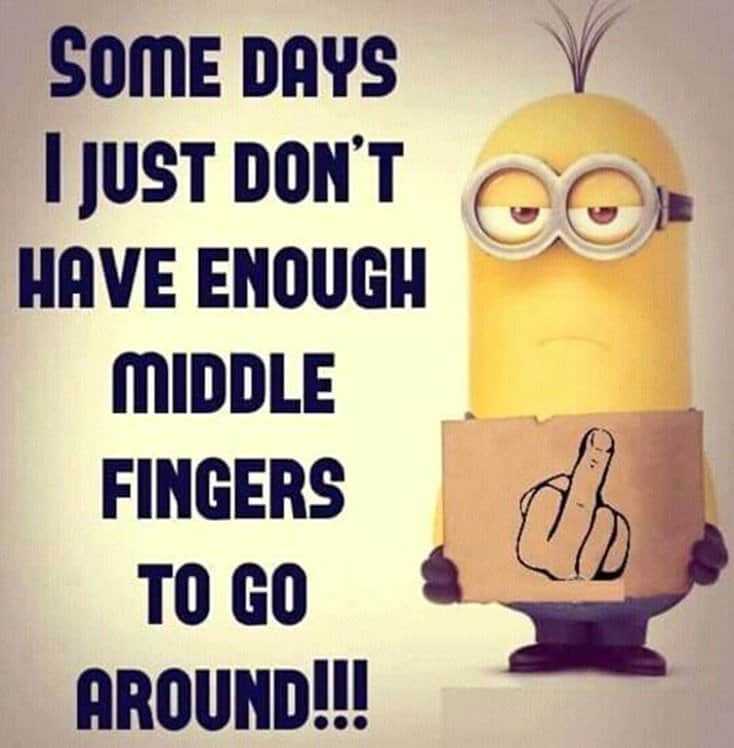 150 Funny Minions Quotes and Pics 20