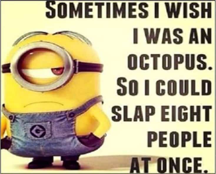 150 Funny Minions Quotes and Pics 24