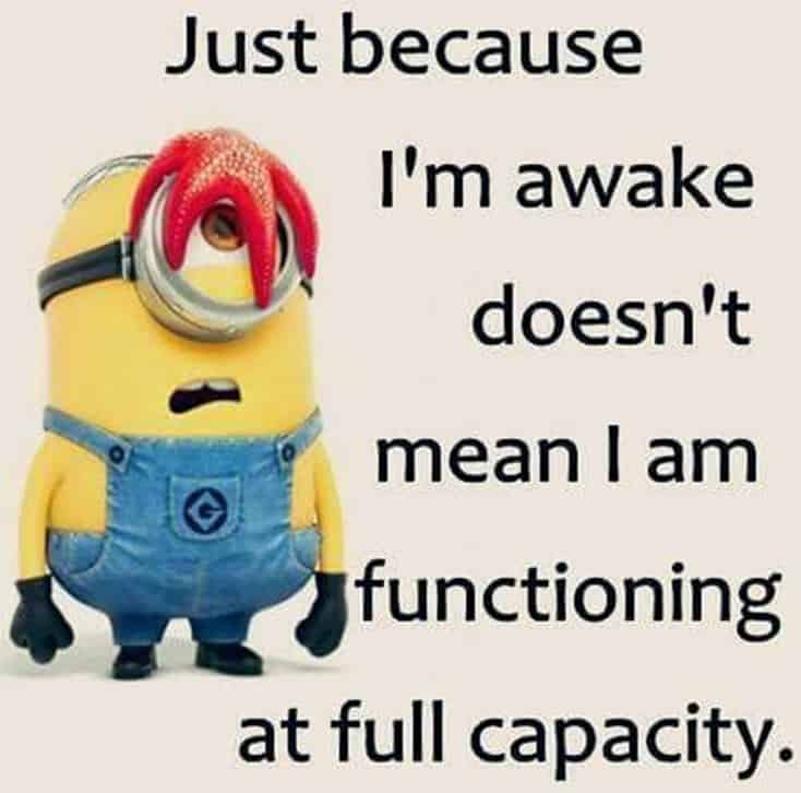 150 Funny Minions Quotes and Pics 27