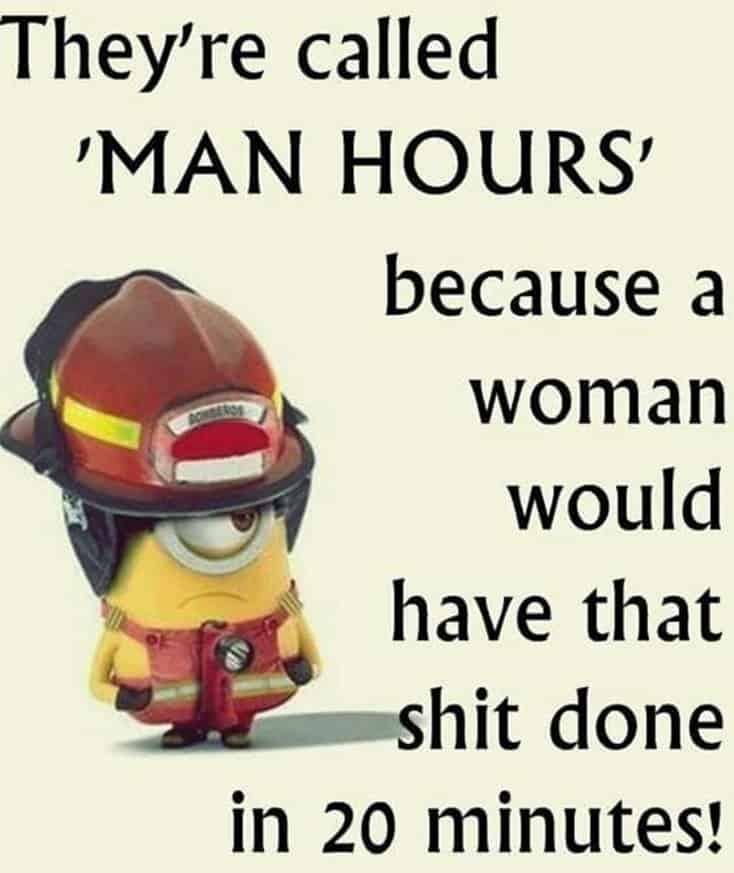 150 Funny Minions Quotes and Pics 28