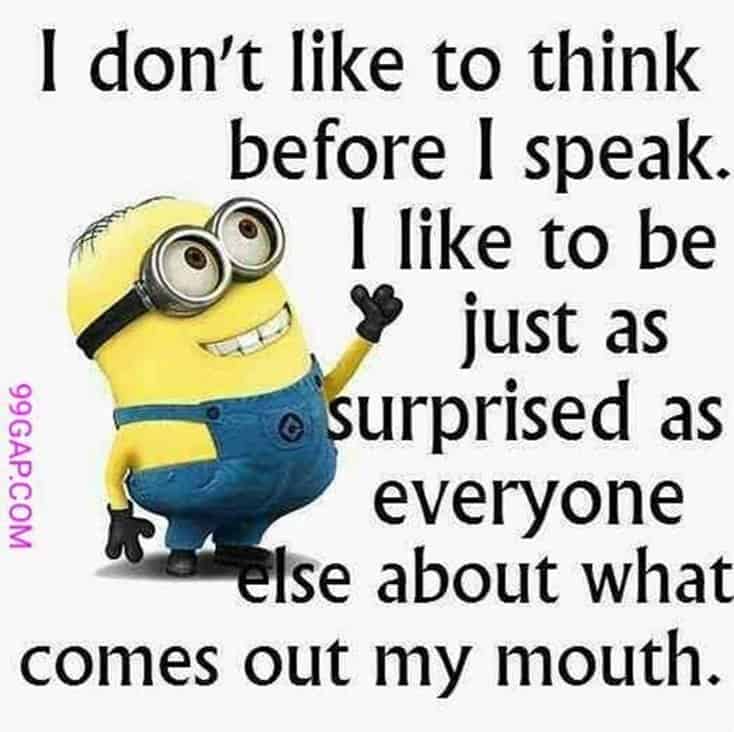 150 Funny Minions Quotes and Pics 3