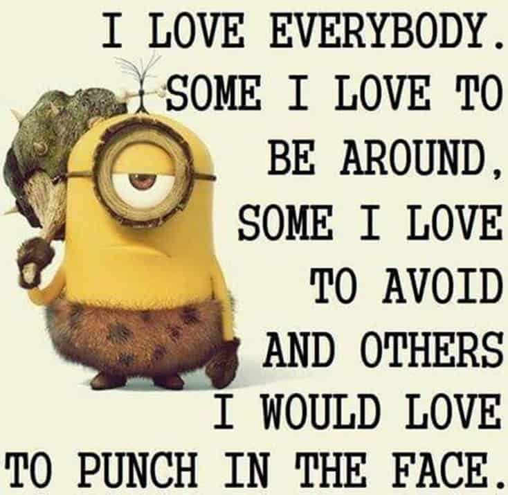 150 Funny Minions Quotes and Pics 30