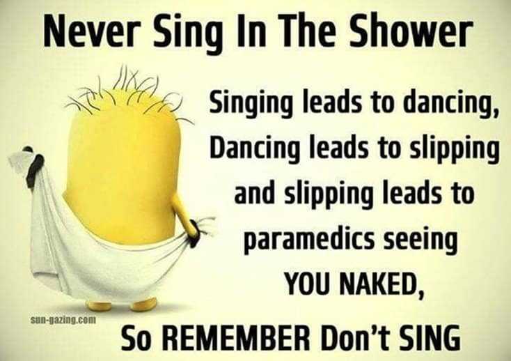 150 Funny Minions Quotes and Pics 31