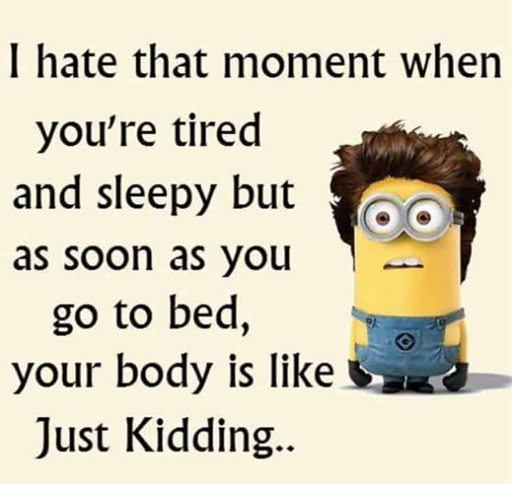 150 Funny Minions Quotes and Pics 35