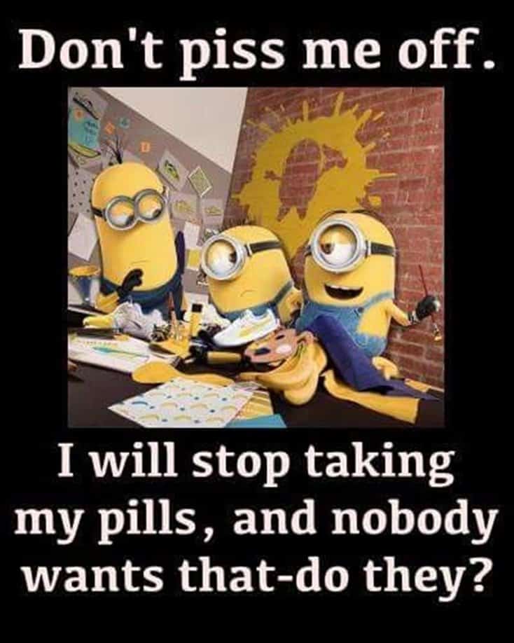 150 Funny Minions Quotes and Pics 37