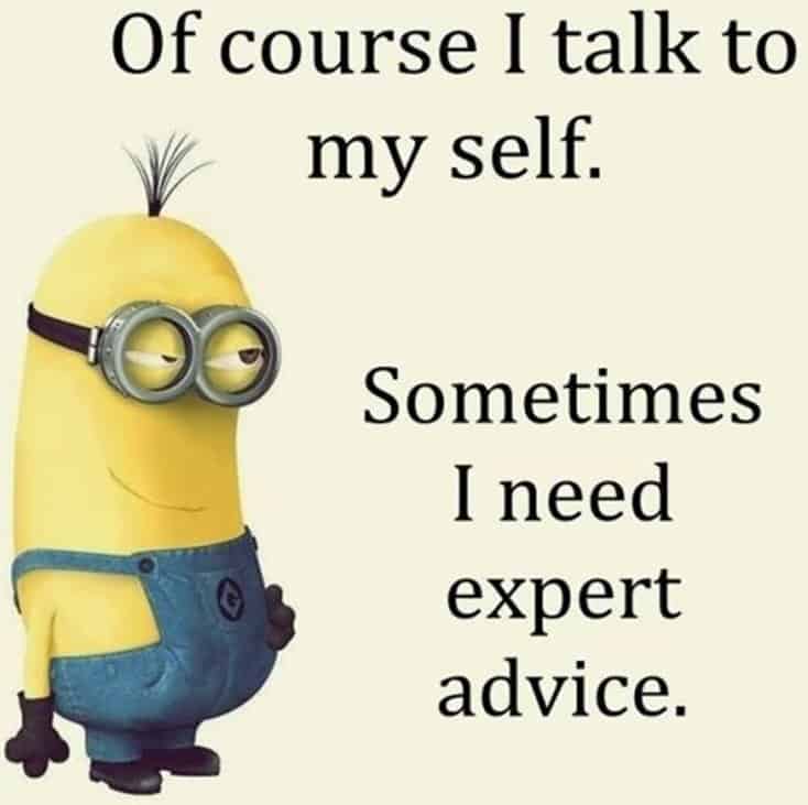 150 Funny Minions Quotes and Pics 40