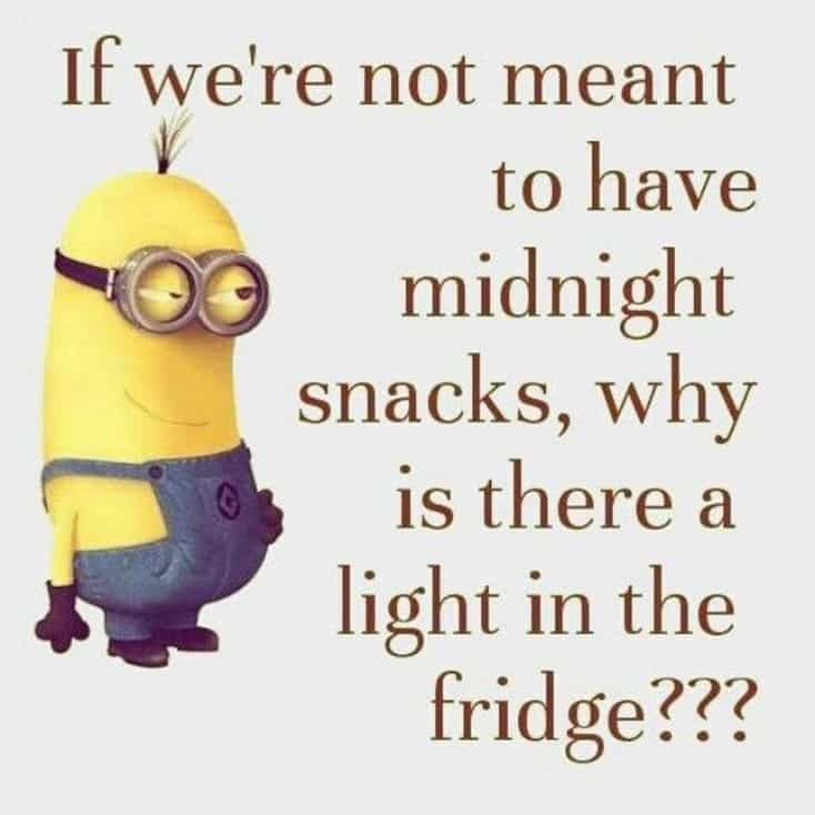 150 Funny Minions Quotes and Pics 42