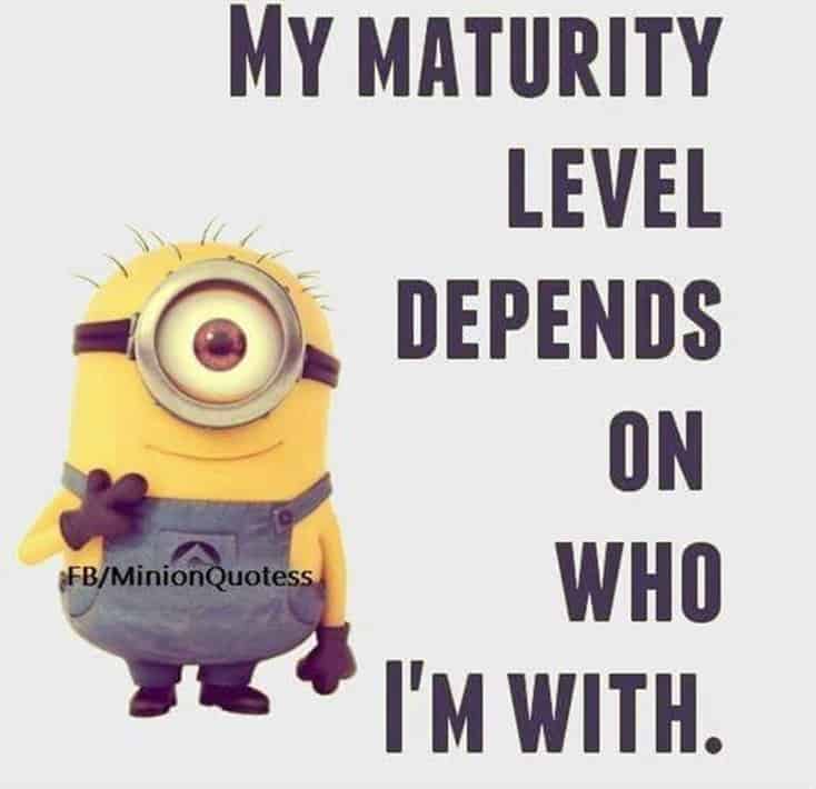 150 Funny Minions Quotes and Pics 45
