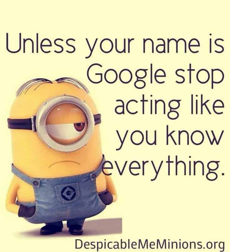 150 Funny Minions Quotes and Pics 48