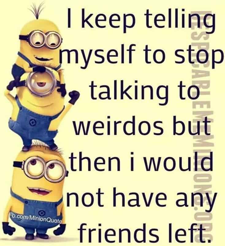 150 Funny Minions Quotes and Pics 49