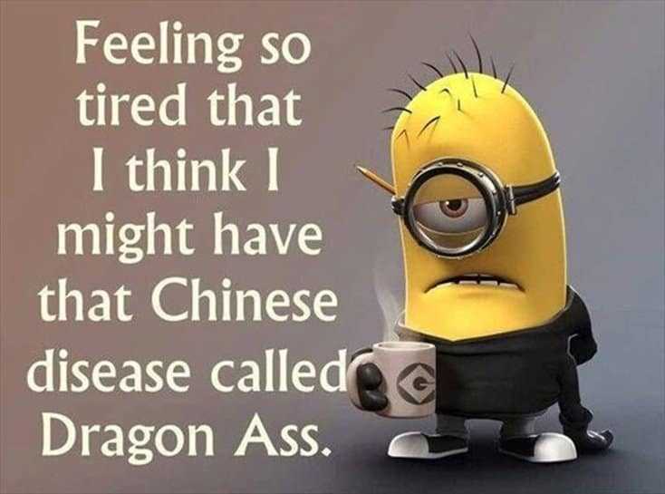 150 Funny Minions Quotes and Pics 7
