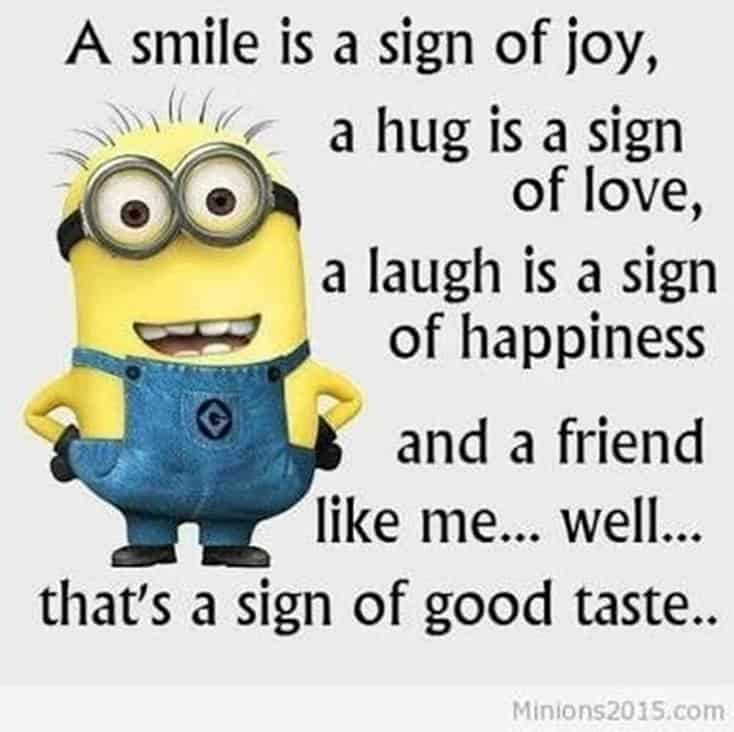 150 Funny Minions Quotes and Pics 9