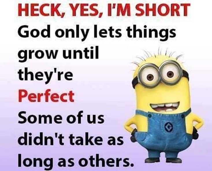 150 Funny Minions Quotes and Pics Bff Quotes Minions 16