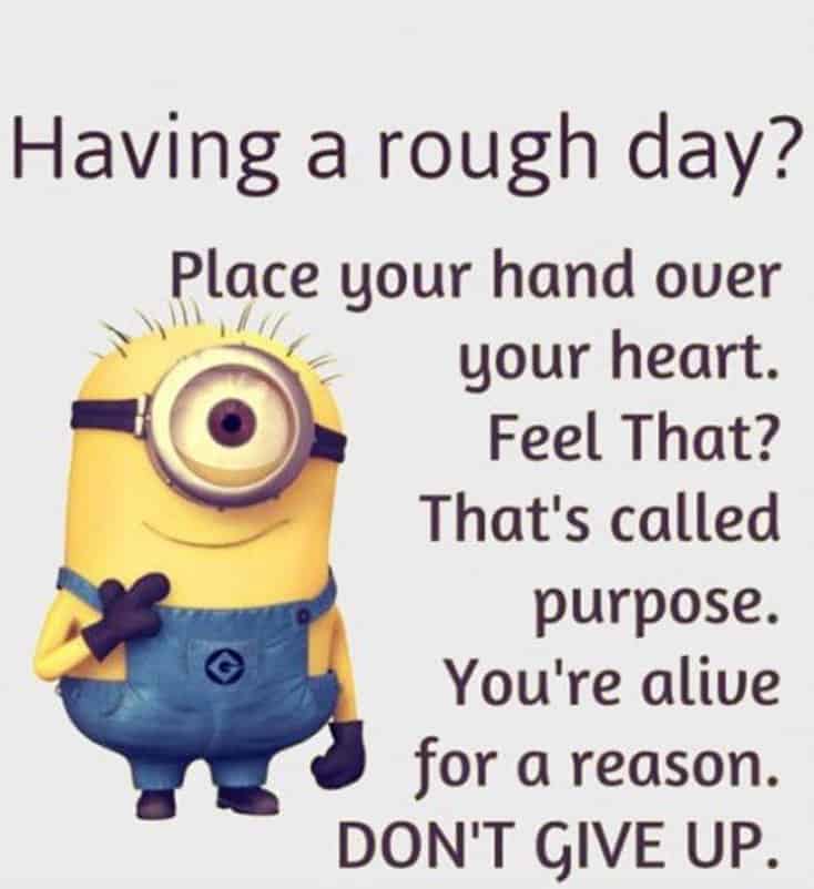 150 Funny Minions Quotes and Pics Bff Quotes Minions 18