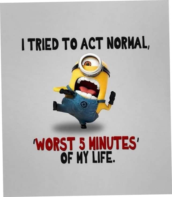 150 Funny Minions Quotes and Pics Bff Quotes Minions 27