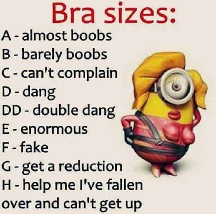 150 Funny Minions Quotes and Pics Bff Quotes Minions 36