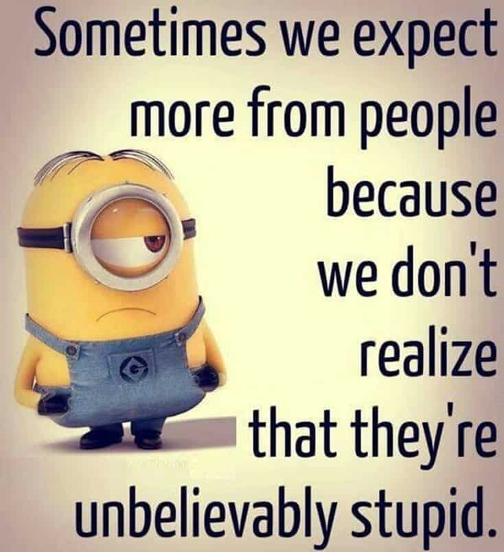 150 Funny Minions Quotes and Pics Bff Quotes Minions 37