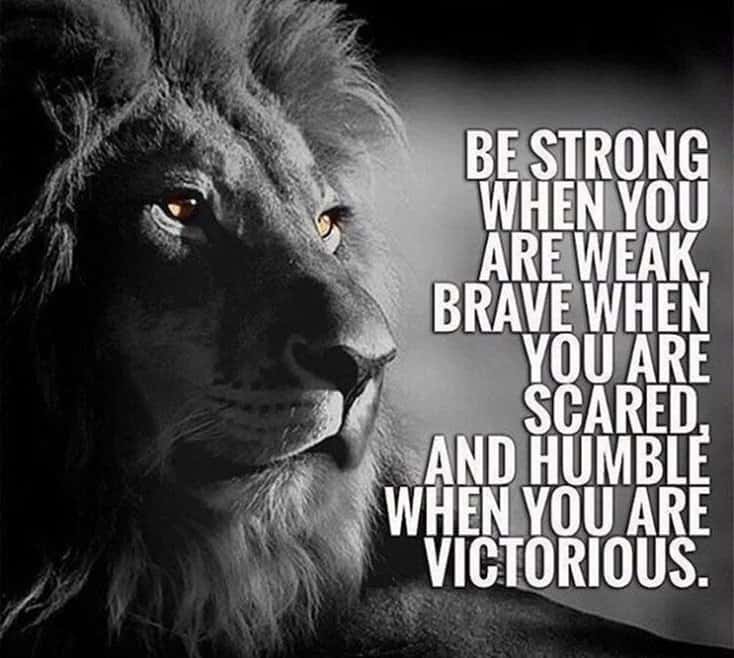 300 Motivational and Inspirational Quotes 218