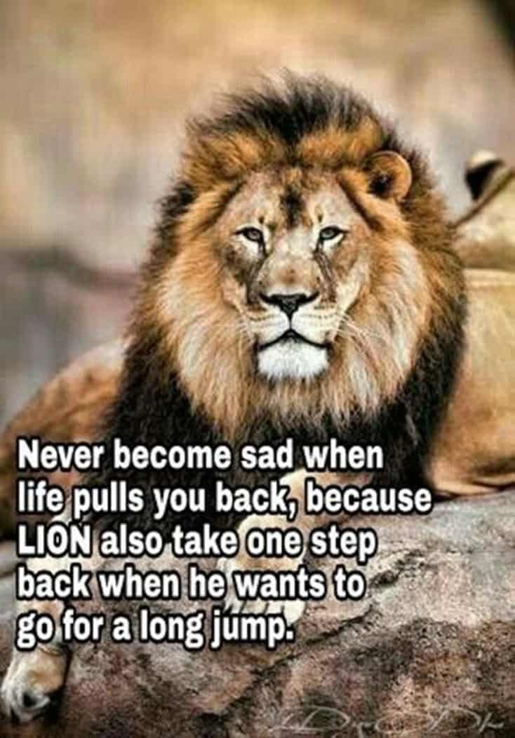 300 Motivational and Inspirational Quotes 258