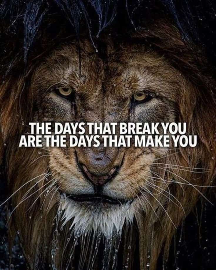 286 Motivational Inspirational Quotes Images That Will Inspire 110 286 Motivational Inspirational Quotes Images That Will Inspire 110