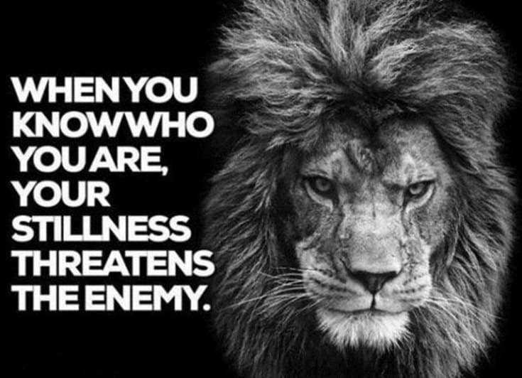 286 Motivational Inspirational Quotes Images That Will Inspire 83 286 Motivational Inspirational Quotes Images That Will Inspire 83