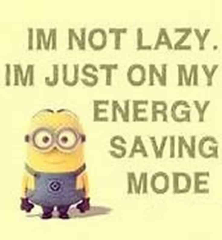 Top 28 Funny Minions Quotes and Pics 14