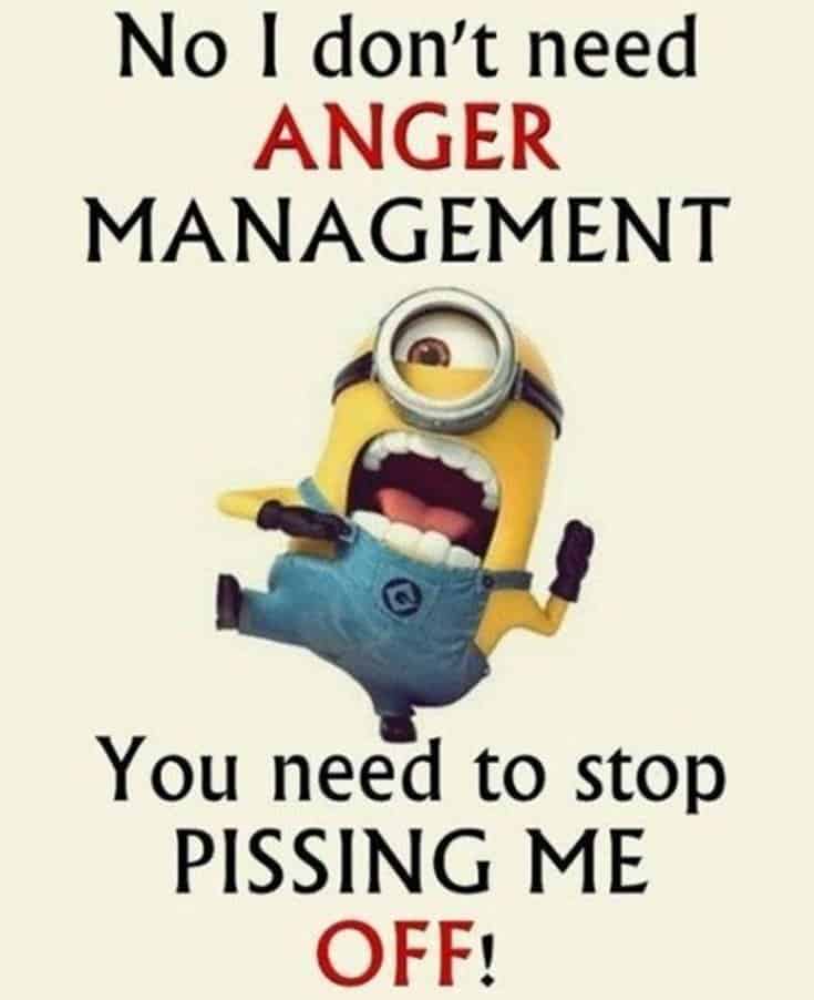 Top 28 Funny Minions Quotes and Pics 2